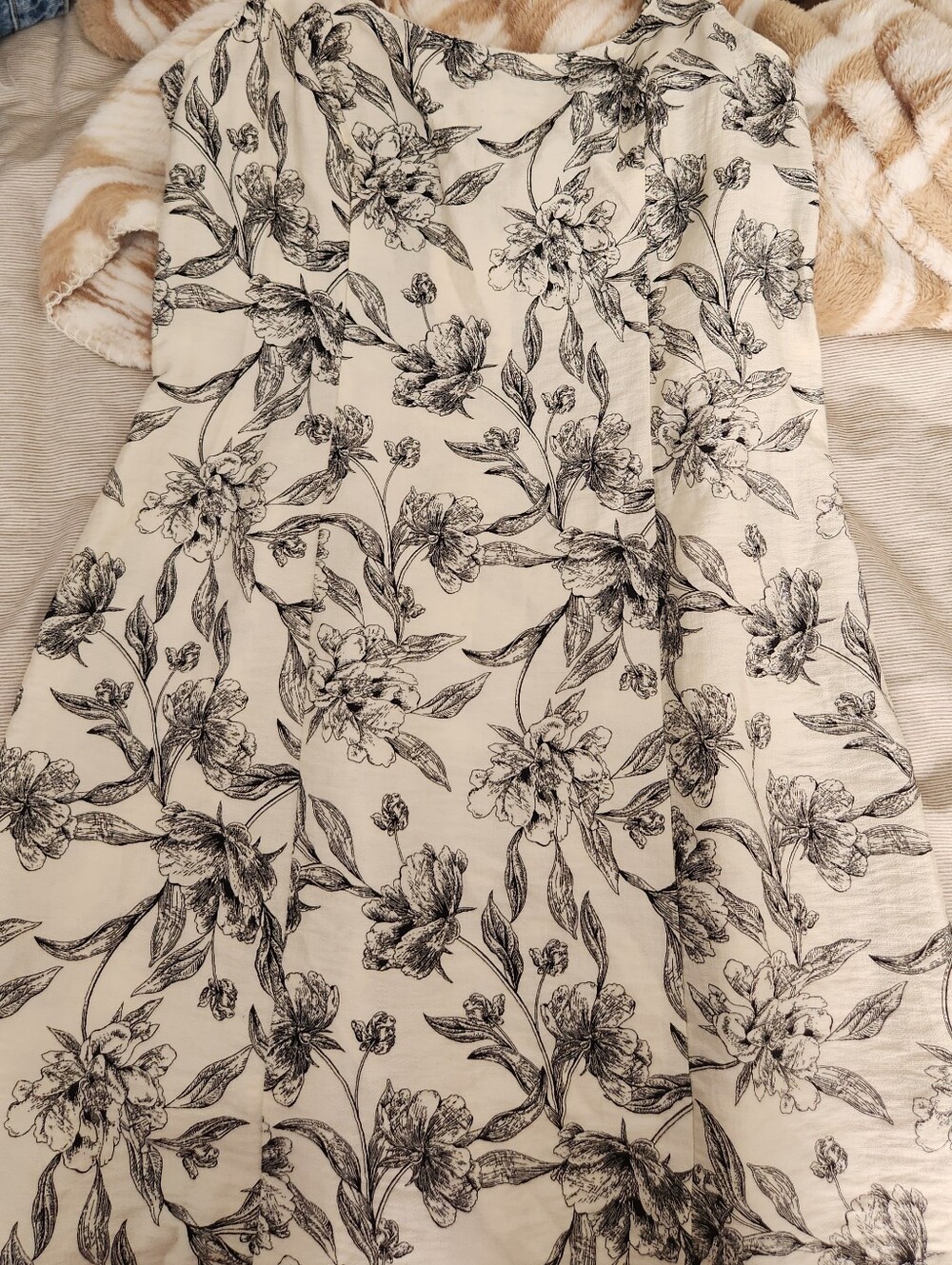 Target Black and Cream Floral Smocked Bodice Dress
